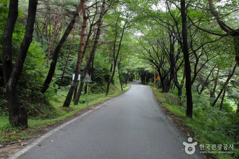 Chilgapsan Provincial Park  (8/8)