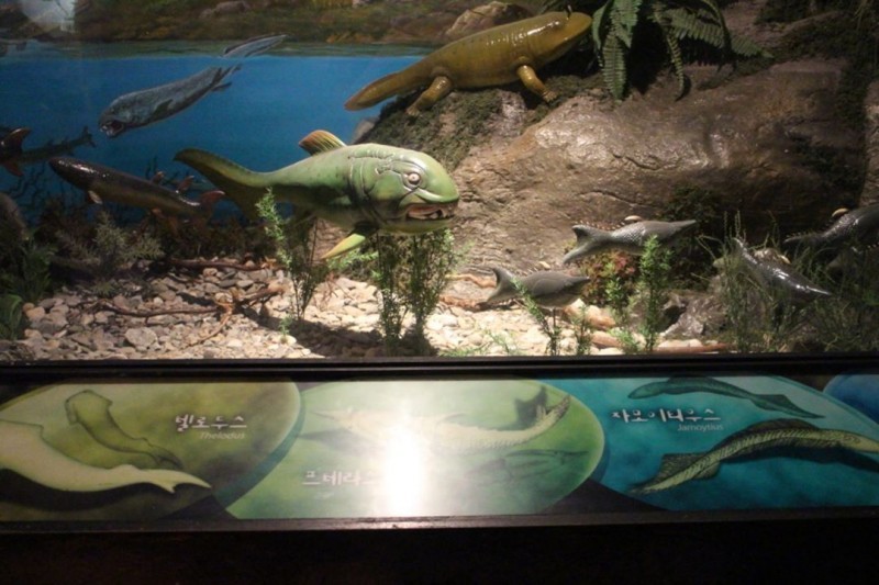 Pyeongchang Donggang Freshwater Fish Ecology Center  (4/7)