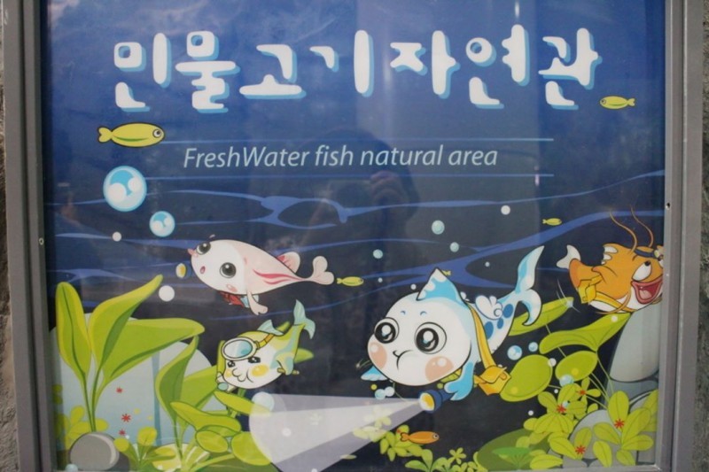 Pyeongchang Donggang Freshwater Fish Ecology Center  (6/7)