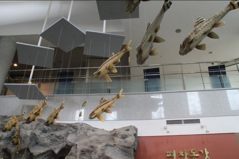 Pyeongchang Donggang Freshwater Fish Ecology Center  (7/7)