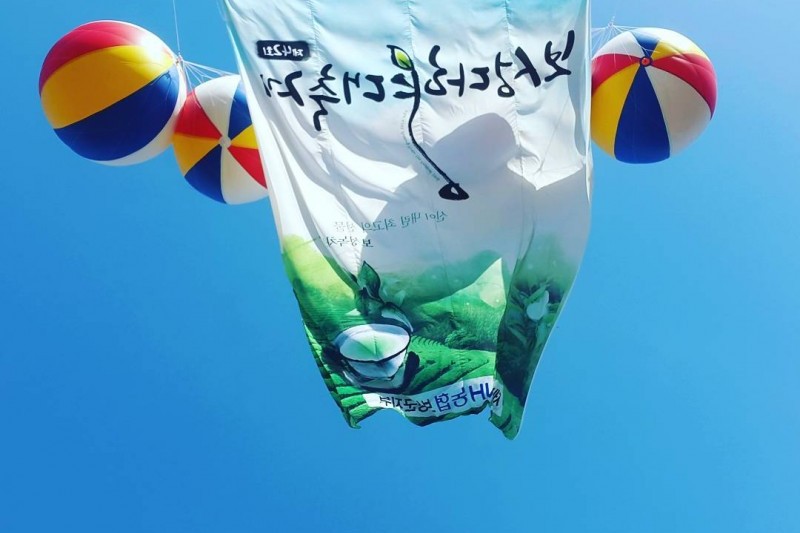 Boseong Green Tea Festival  (6/6)