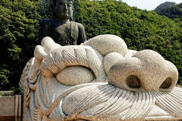 Healing Retreat in Sokcho!