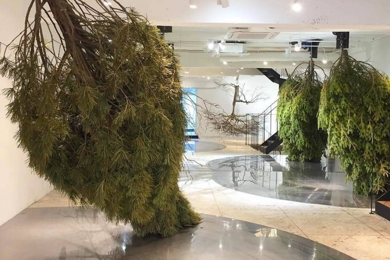 Gentle Monster Sinsa Flagship Store (7/10)