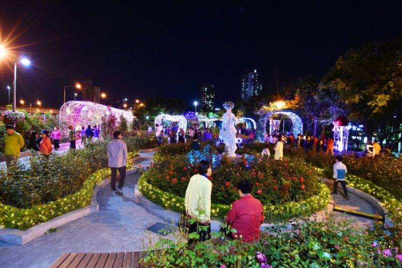 Seoul Rose Festival (서울장미축제)