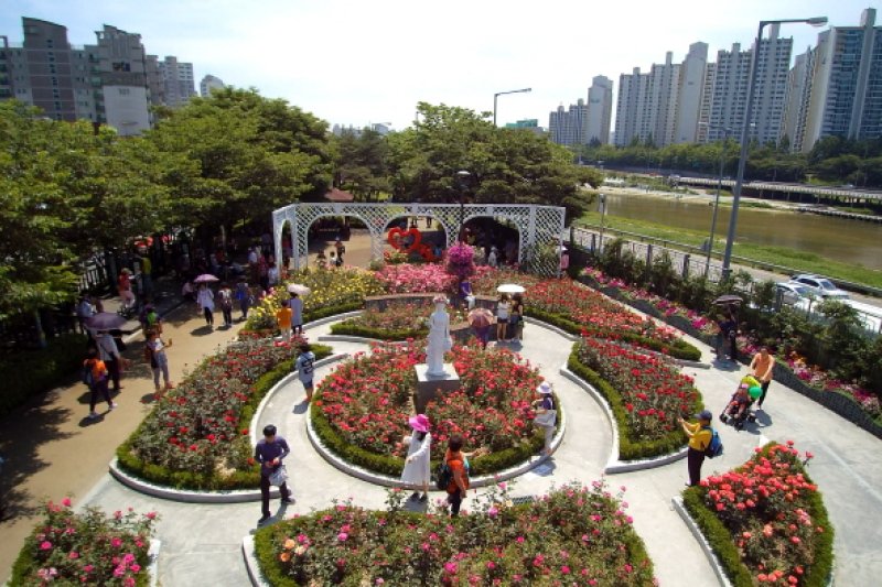 Seoul Rose Festival (서울장미축제)
