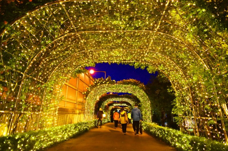 Seoul Rose Festival (서울장미축제)
