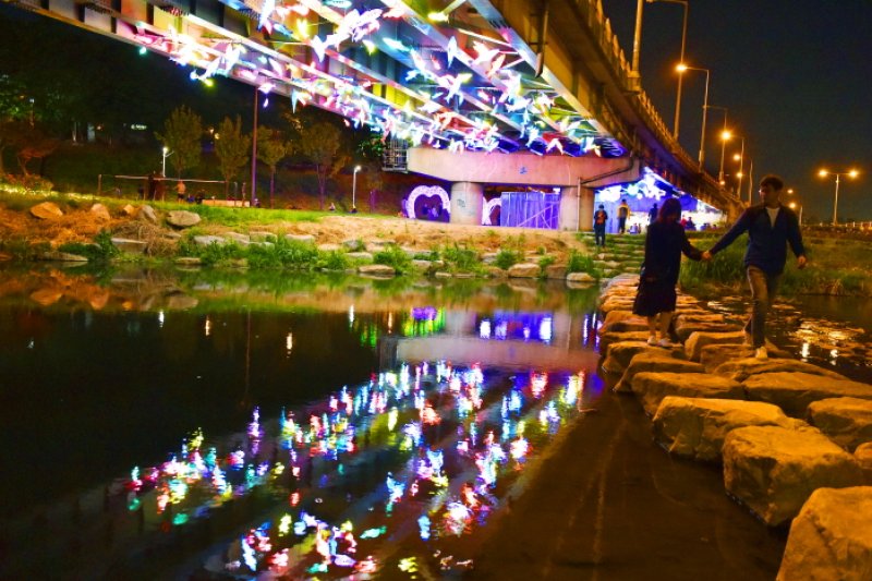 Seoul Rose Festival (서울장미축제)