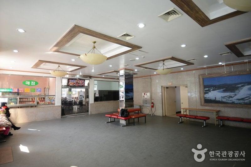 Bears Town Youth Hostel (베어스타운 유스호스텔) (3/4)