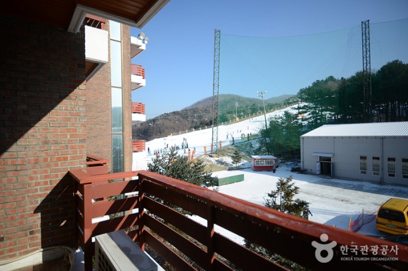Bears Town Youth Hostel (베어스타운 유스호스텔) (4/4)