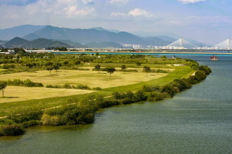 Daejeo Ecological Park (대저생태공원) (1/7)