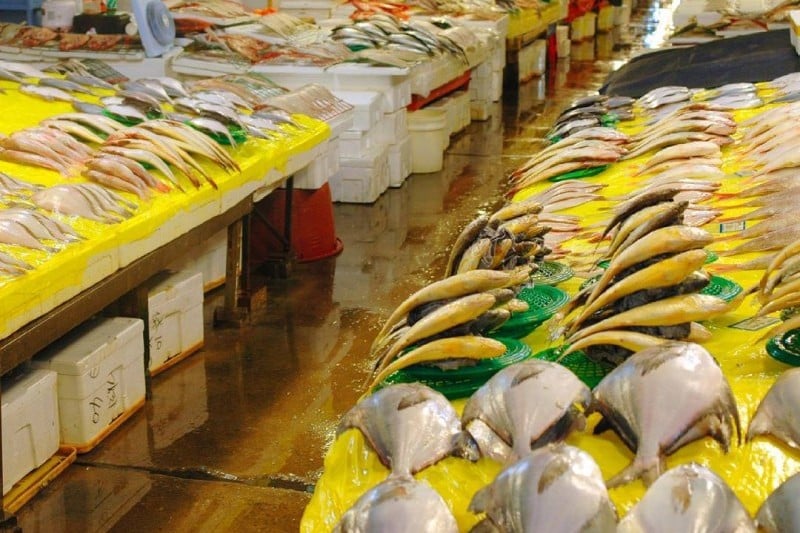 Noryangjin Fisheries Wholesale Market (11/18)