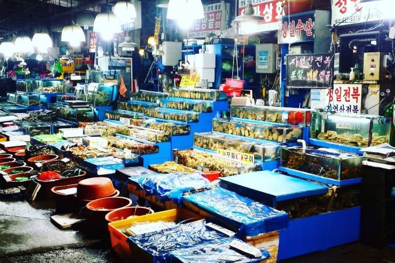 Noryangjin Fisheries Wholesale Market (14/18)