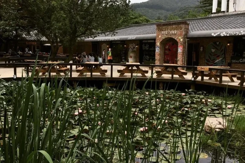 Nami-Island One Day Tour (9/11)