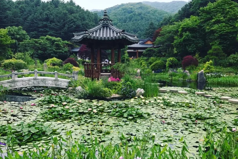 Nami-Island One Day Tour (1/16)