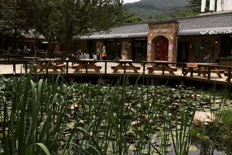 Nami-Island One Day Tour (5/8)