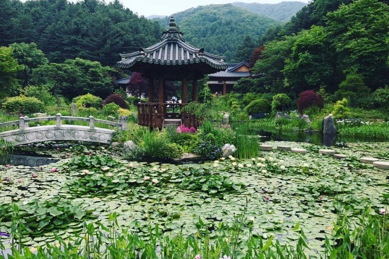 Nami-Island One Day Tour (6/8)