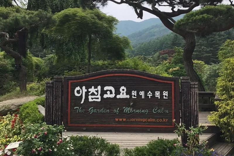 Nami-Island One Day Tour (7/8)