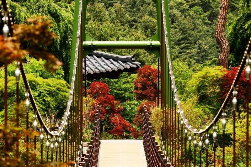 Nami-Island One Day Tour (8/8)