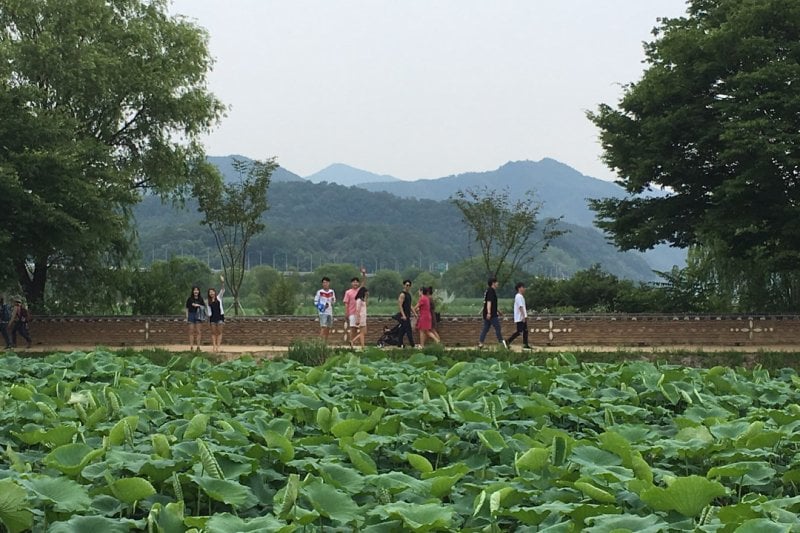 Yangpyeong One Day Tour(TKYP-A) (2/13)
