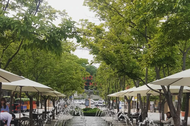 Lotte Premium Outlet - Icheon Branch  + Termeden Water Park One Day Tour (1/7)
