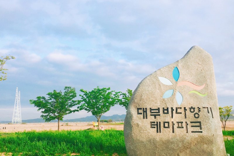 Daebudo One Day Tour(TKDB-A) (4/12)