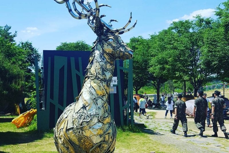 DMZ A Half Day Tour (5/14)