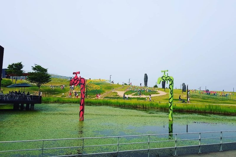 DMZ A Half Day Tour (10/14)