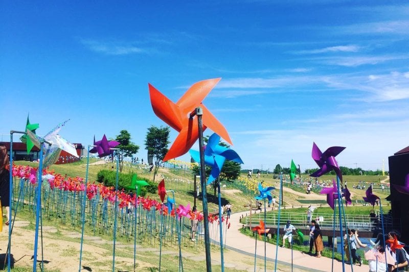DMZ A Half Day Tour (11/14)