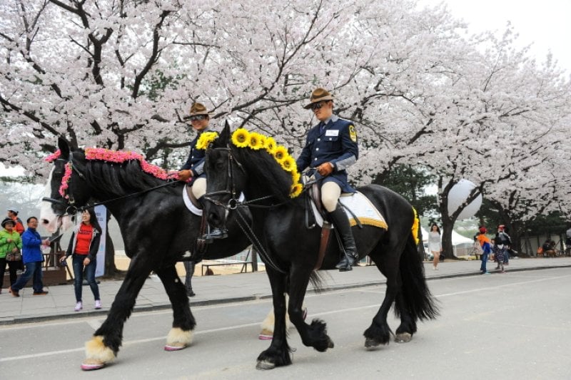 Let's Run Park Seoul  (1/11)