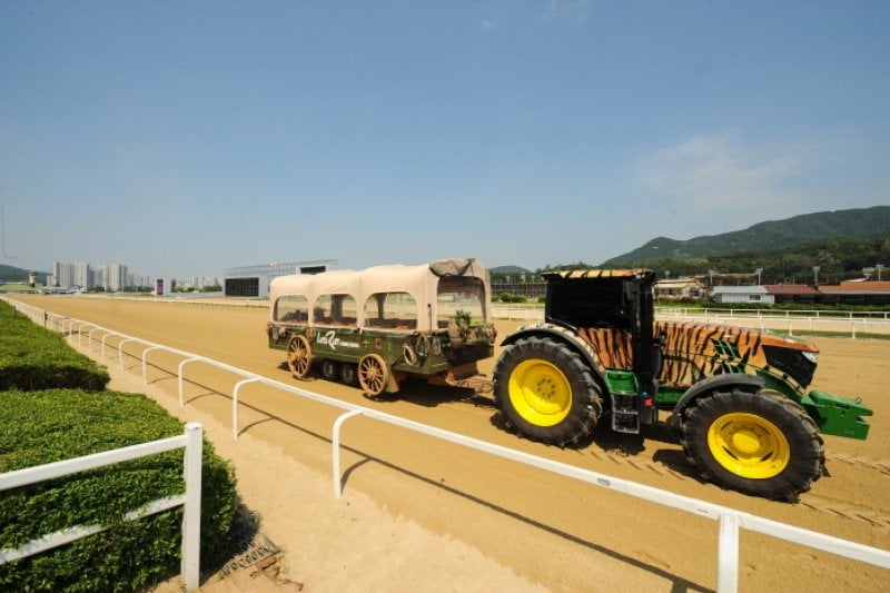 Let's Run Park Seoul  (3/11)