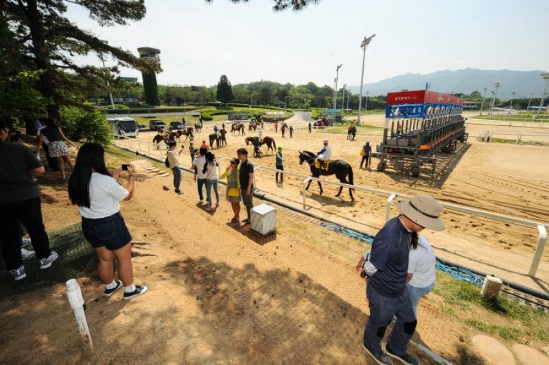 Let's Run Park Seoul  (7/11)