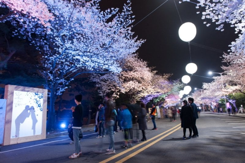 Let's Run Park Seoul  (10/11)