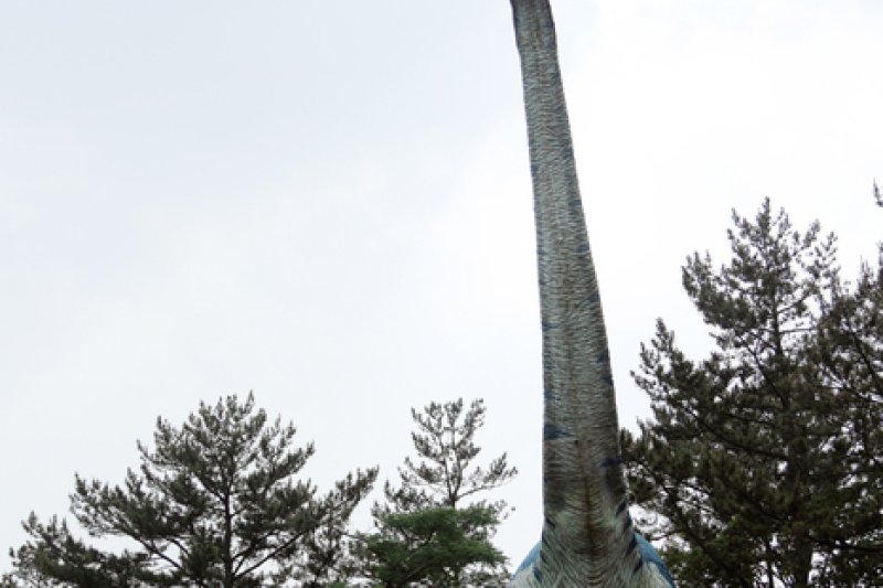 Uhangri Dinosaur Fossil Natural Historic Monument  (16/16)