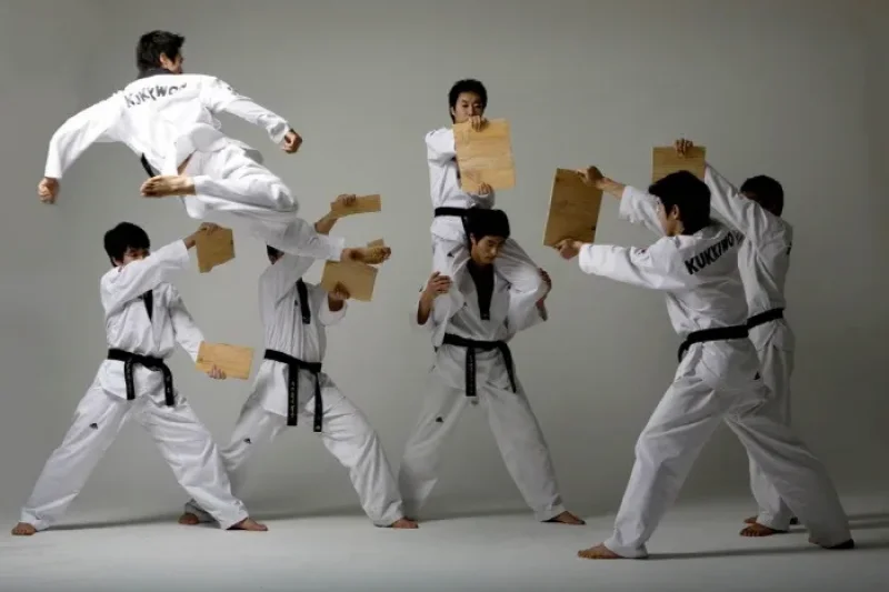 The World Taekwondo Hanmadang  (2/7)