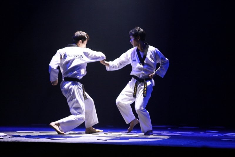 The World Taekwondo Hanmadang  (7/7)