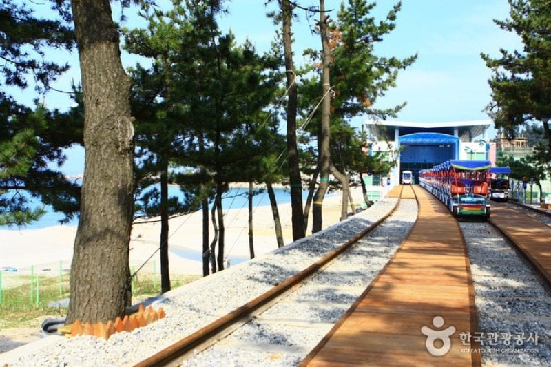Samcheok Ocean Rail BIke  (4/24)