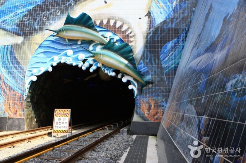 Samcheok Ocean Rail BIke  (17/24)