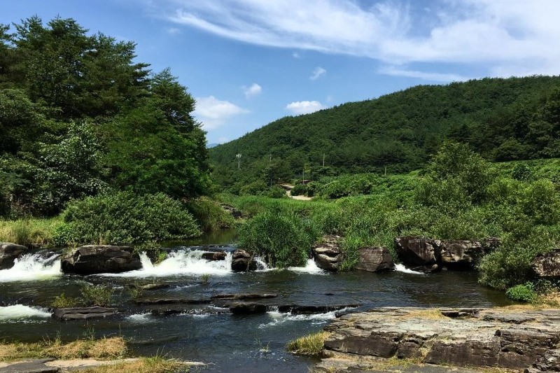 Petroglyphs of Cheonjeon-ri, Ulju  (6/10)