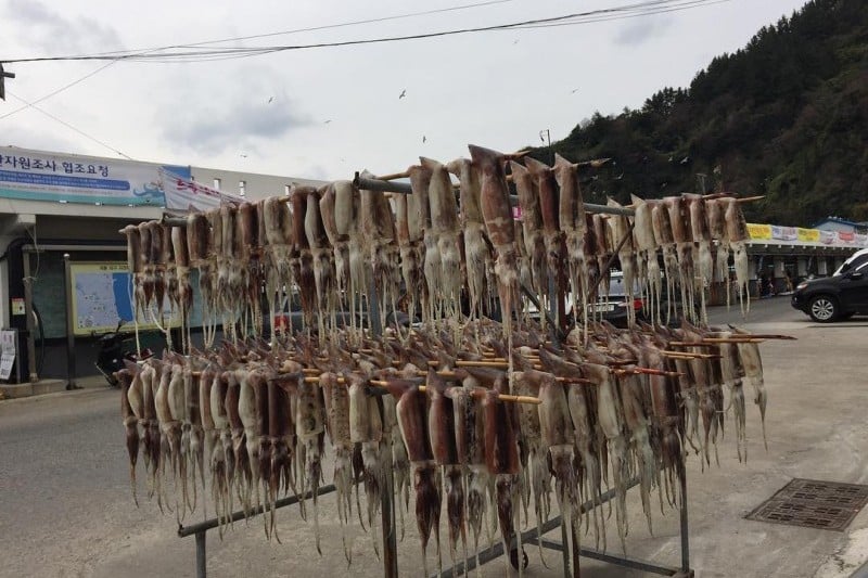Ulleungdo Cuttlefish Festival  (9/17)