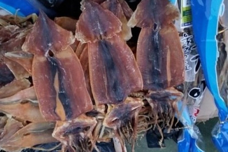 Ulleungdo Cuttlefish Festival  (12/17)