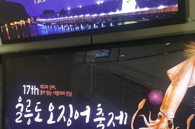 Ulleungdo Cuttlefish Festival  (17/17)