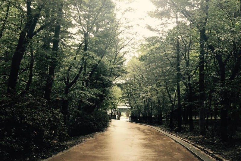 Jikjisa Temple Stay  (8/14)