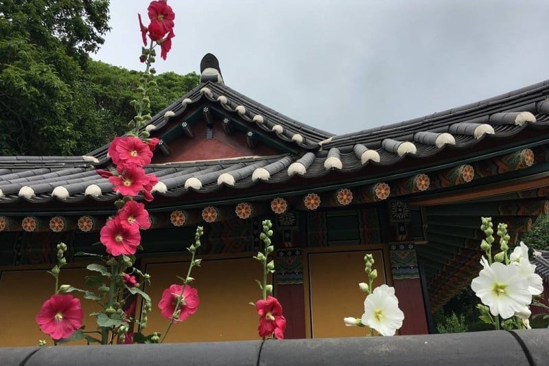 Mihwangsa Temple Stay  (6/11)