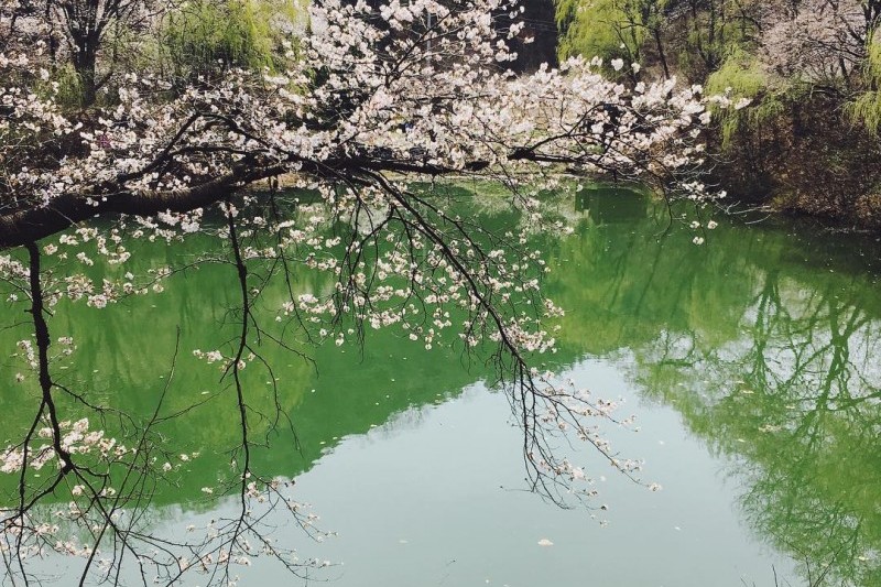 Deokcheonseowon Confucian Academy  (2/10)