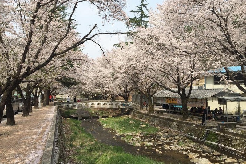 Deokcheonseowon Confucian Academy  (9/10)