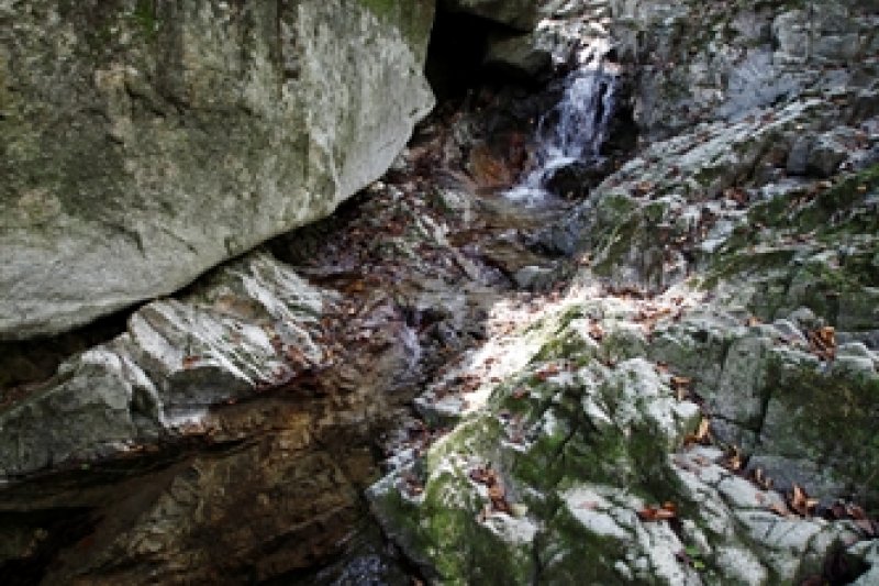 Moaksan Provincial Park  (1/8)