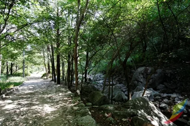 Moaksan Provincial Park  (2/8)