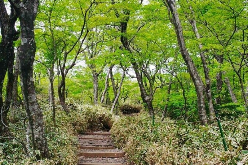 Hallasan Seongpanak  (8/8)