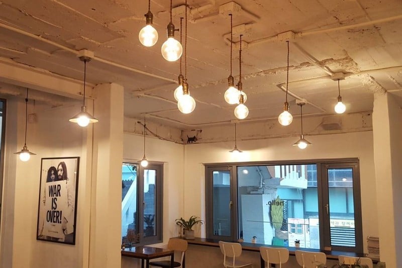 Magnolia Design Café (2/7)