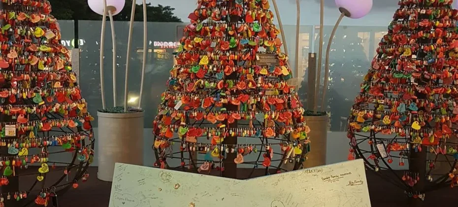 N Seoul Tower Observatory Discount Ticket (27/31)